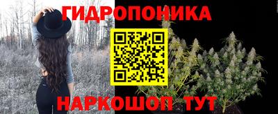 СК Чебаркуль